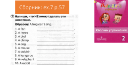 Read and answer!. What’s your name?, слайд 19
