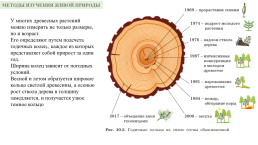 Методы изучения живой природы, слайд 11