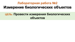 Методы изучения живой природы, слайд 12