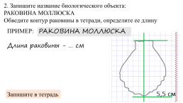 Методы изучения живой природы, слайд 14