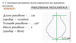 Методы изучения живой природы, слайд 16