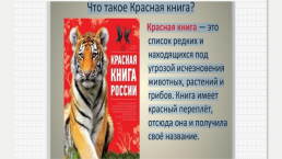 Красная книга Тверской области, слайд 11