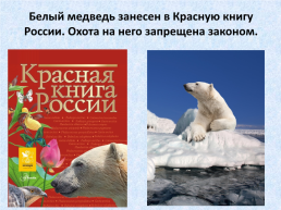 День белого медведя в России, слайд 17