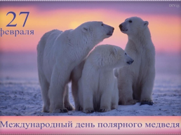День белого медведя в России, слайд 20