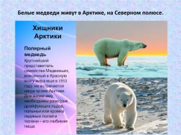 День белого медведя в России, слайд 7
