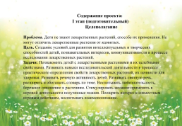 Лекарственные растения Южного Урала!, слайд 6