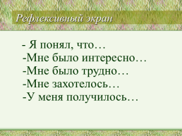 Урок русского языка «Чему мы научились за год», слайд 17