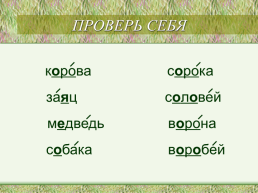 Урок русского языка «Чему мы научились за год», слайд 6