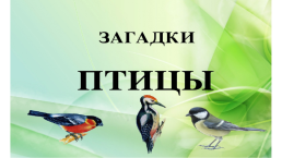 Птицы России, слайд 10