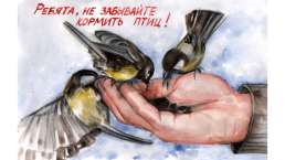 Птицы России, слайд 41