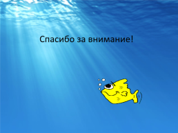 Рыбы черного моря, слайд 12