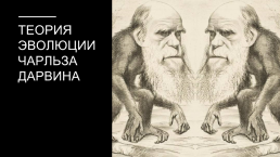 Теория эволюции Чарльза Дарвина, слайд 1