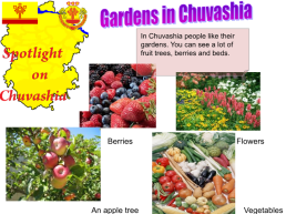 Gardens in chuvashia. In chuvashia people like their gardens, слайд 2