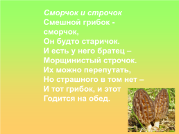 Грибная пора, слайд 4