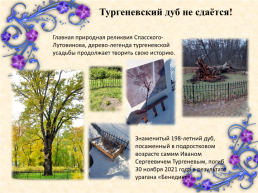 Музей-заповедник И. С. Тургенева «Спасское-Лутовиново» своими глазами, слайд 6
