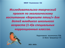 Исследовательско-творческий проект по экологическому воспитанию «Берегите птиц!», слайд 1