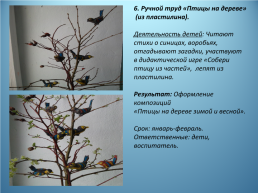 Исследовательско-творческий проект по экологическому воспитанию «Берегите птиц!», слайд 12