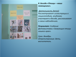 Исследовательско-творческий проект по экологическому воспитанию «Берегите птиц!», слайд 14