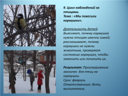 Исследовательско-творческий проект по экологическому воспитанию «Берегите птиц!», слайд 15
