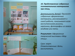 Исследовательско-творческий проект по экологическому воспитанию «Берегите птиц!», слайд 17