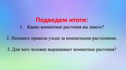 Комнатные растения. Растения в твоем доме: краткое описание, слайд 15